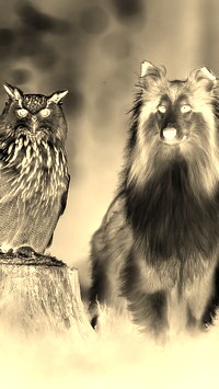 Sepia + Negatyw
