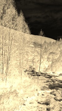 Sepia + Negatyw