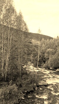 Szary + Sepia