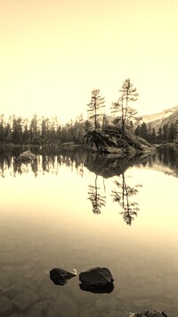 Szary + Sepia