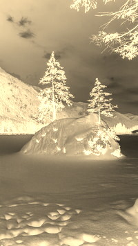 Sepia + Negatyw