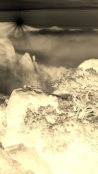 Sepia + Negatyw