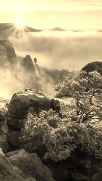 Szary + Sepia