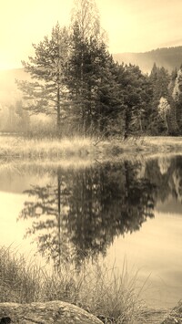 Szary + Sepia