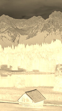 Sepia + Negatyw