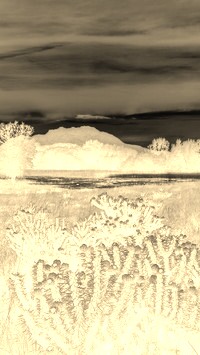 Sepia + Negatyw