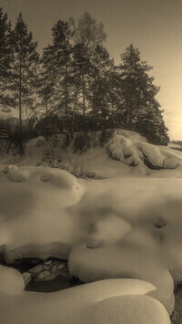 Sepia