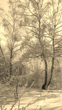 Szary + Sepia