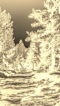 Sepia + Negatyw