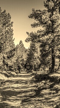 Sepia