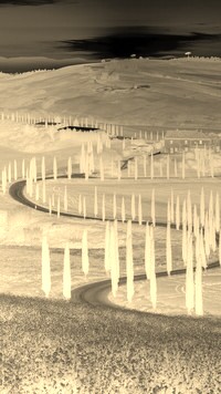Sepia + Negatyw