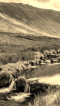 Sepia