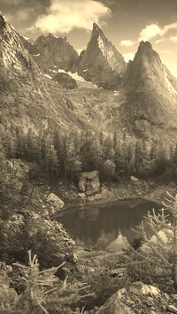 Szary + Sepia
