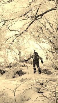 Szary + Sepia