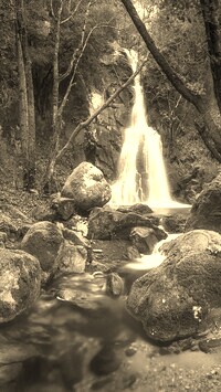 Szary + Sepia