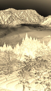 Sepia + Negatyw