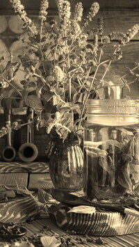 Sepia