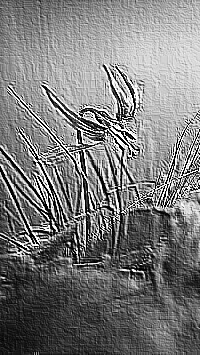Skamielina