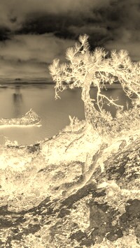 Sepia + Negatyw