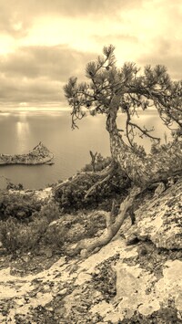 Szary + Sepia