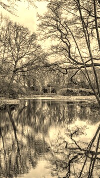 Szary + Sepia