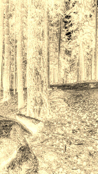 Sepia + Negatyw