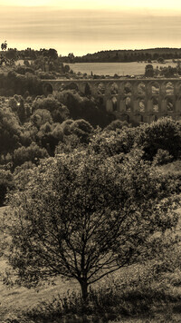 Sepia