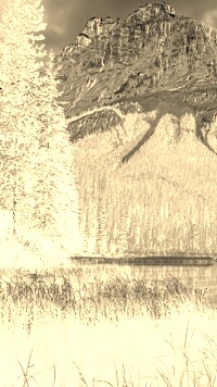 Sepia + Negatyw