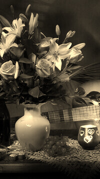 Szary + Sepia