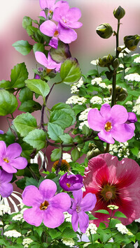Oryginalny obrazek