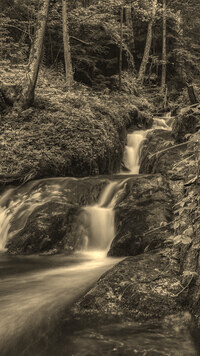 Sepia