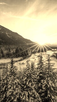 Sepia