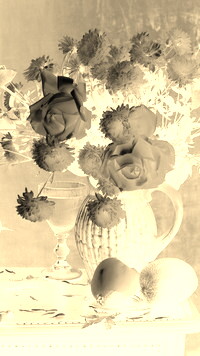 Sepia + Negatyw