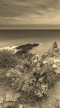 Sepia