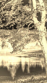 Sepia + Negatyw