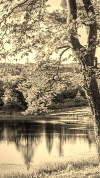 Szary + Sepia