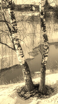 Sepia