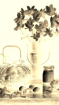 Sepia + Negatyw