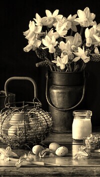 Szary + Sepia