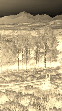 Sepia + Negatyw