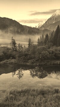Szary + Sepia