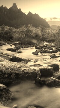 Szary + Sepia
