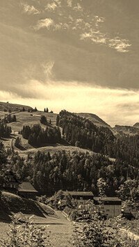 Szary + Sepia
