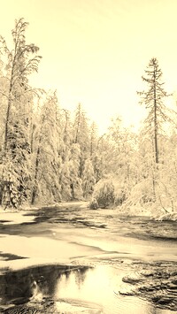 Szary + Sepia