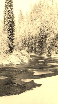 Szary + Sepia