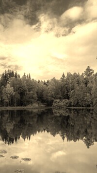 Sepia