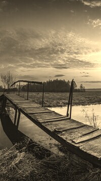 Szary + Sepia