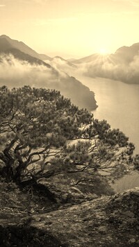 Sepia
