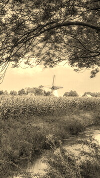 Szary + Sepia
