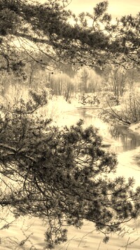 Szary + Sepia